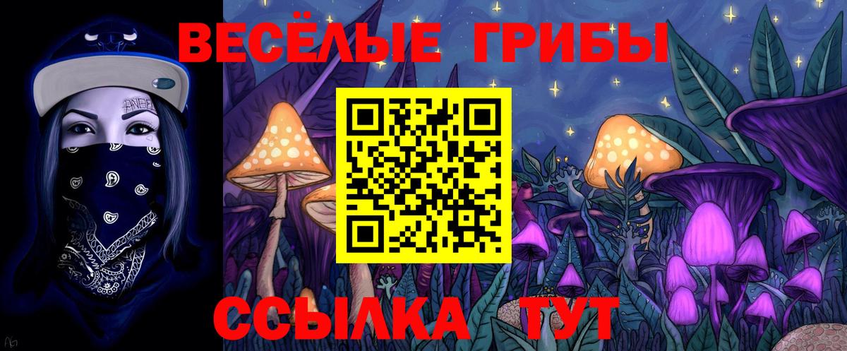 Псилоцибиновые грибы Psilocybine cubensis  Вход с VPN  Элиста 