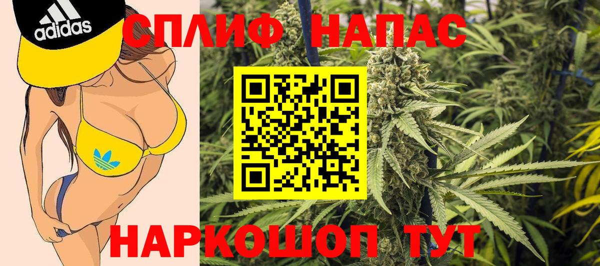 Конопля марихуана  Каннабис семена  Элиста  Вход с VPN 